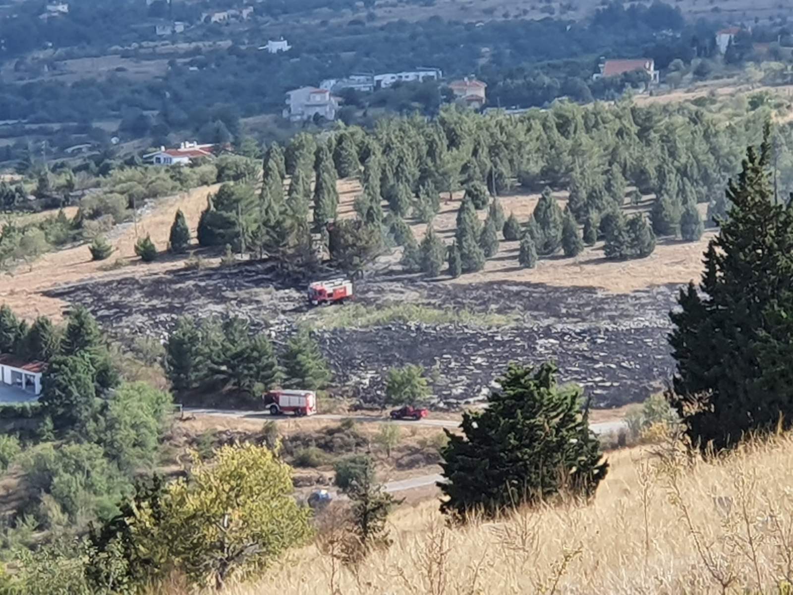 Πυρκαγιά σε δασική έκταση πλησίον του ΣΕΟ Κοζάνης (Φωτο)