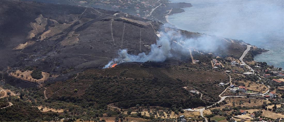 Πυρκαγιά στην Εύβοια: Αναζωπύρωση στην Κάρυστο (Φώτο)