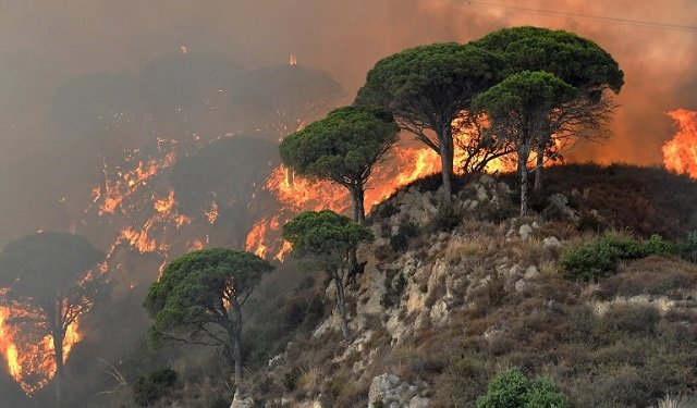 Μεγάλη πυρκαγιά δασώδη περιοχή έξω από την Ρώμη
