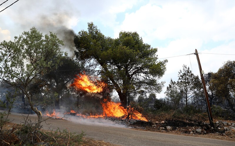 Σύλληψη επ αυτοφώρω εμπρηστή στη Μάνη…Έβαζε φωτιά με φιδάκι!!!