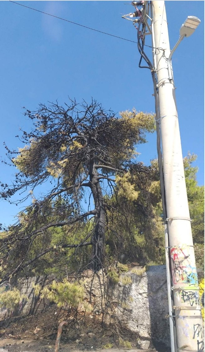 Πυρκαγιά εν υπαιθρω έναντι ΔΟΠΑΠ