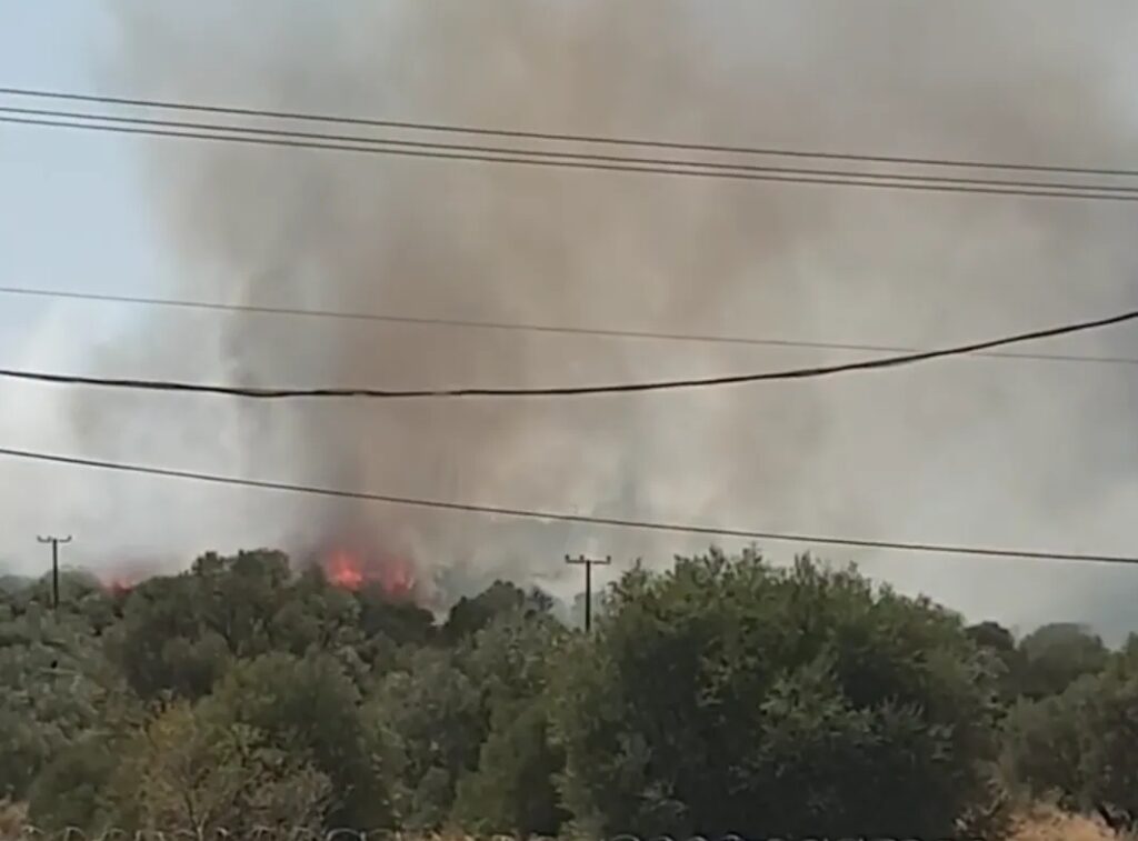 Πυρκαγιά σε εξέλιξη σε χορτολιβαδική έκταση στο Μαρκόπουλο Αττικής (Φωτό από το συμβάν)