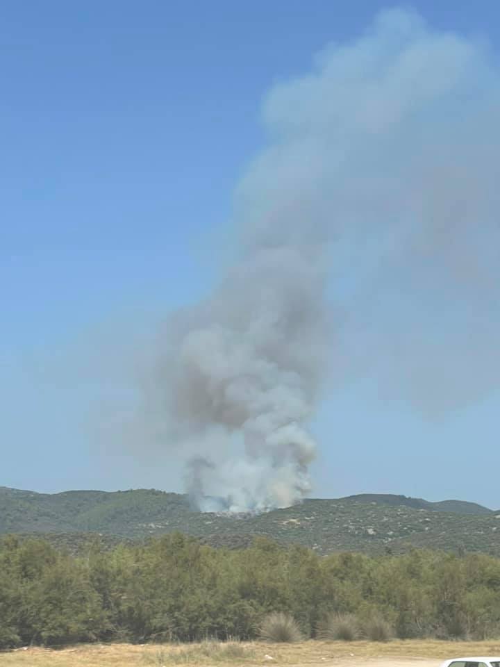 Πυρκαγιά σε δασική έκταση στην Τορώνη Χαλκιδική (Φώτο)
