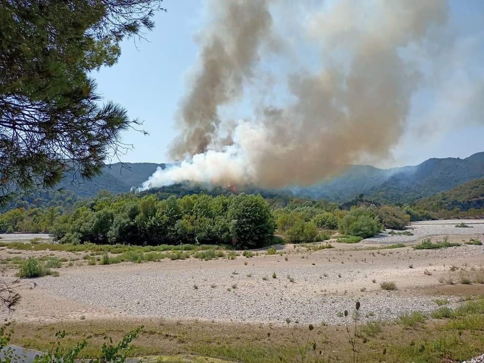 Πυρκαγιά ΤΩΡΑ σε δασική έκταση στο Παραδείσι Αιτωλοακαρνανίας (Φώτο)