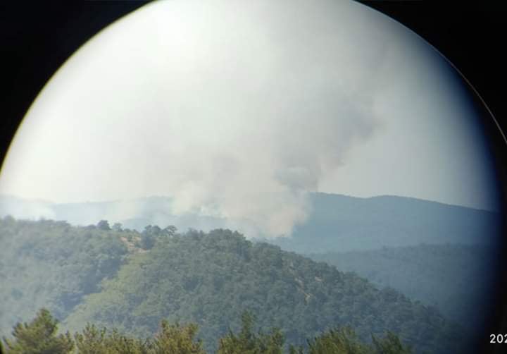 Πυρκαγιά ΤΩΡΑ σε δασική έκταση στην περιοχή Κοτρωνιά στο Σουφλί (Φώτο)