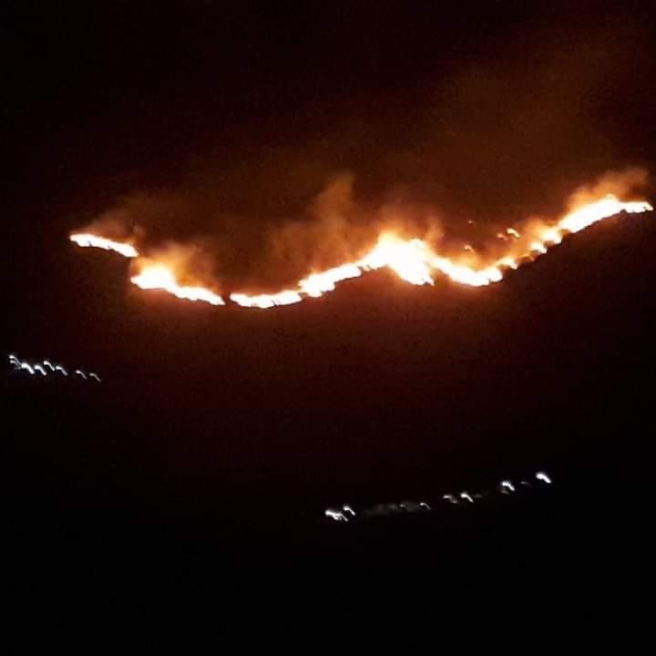 Αναζωπύρωση της πυρκαγιάς στο Κρυονέρι Γυθείου (Φώτο)