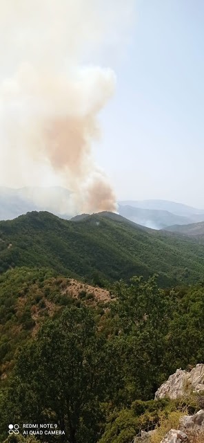 Πυρκαγιά σε δασική έκταση στη θέση Λημέρι στον Άγιο Νικόλαο Φιλιατών