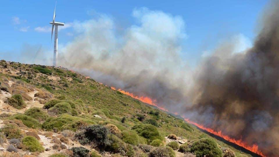 Μεγάλη πυρκαγιά σε δασική έκταση στα Μεσοχώρια Εύβοιας