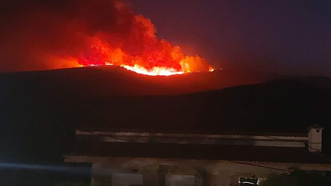Πυρκαγιά στα Βίλια: Άλλη μια δύσκολη νύχτα – Πύρινο μέτωπο χιλιομέτρων