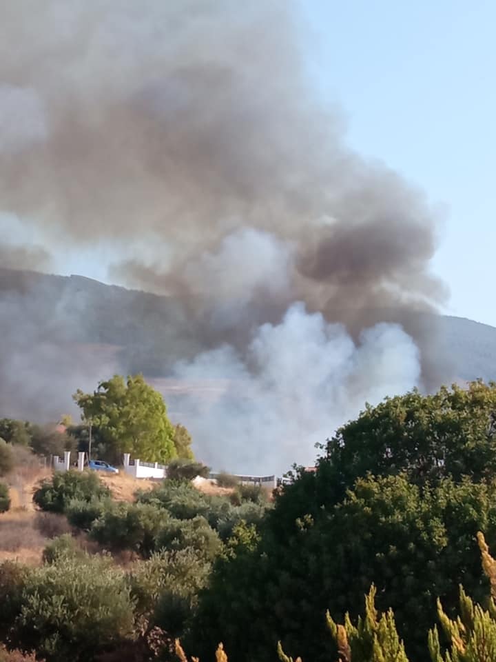 Πυρκαγιά σε χαμηλή βλάστηση στην περιοχή Παραδείσι της νήσου Κω