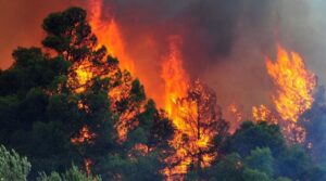 Συναγερμός για δασική πυρκαγιά στην Δαδιάς στον Έβρο