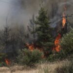 Σε 6 διαφορετικές εστίες πυρκαγιάς στην ευρύτερη περιοχή της Μάνδρας και στο Πόρτο Γερμενό Αττικής