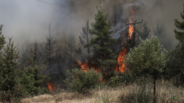 Σε 6 διαφορετικές εστίες πυρκαγιάς στην ευρύτερη περιοχή της Μάνδρας και στο Πόρτο Γερμενό Αττικής