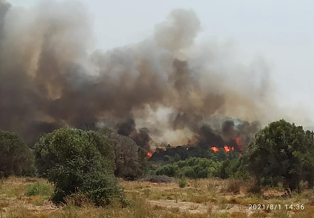 Πυρκαγιά ΤΩΡΑ σε δασική έκταση στην Παντάνασσα Ρόδου (Φώτο)