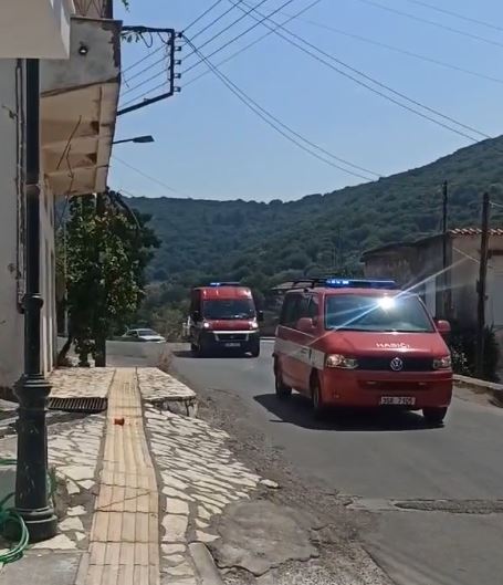 Πυρκαγιά στη Γορτυνία: Έφτασαν οι Τσέχοι πυροσβέστες θερμή υποδοχή από τους κατοίκους (εικόνες)