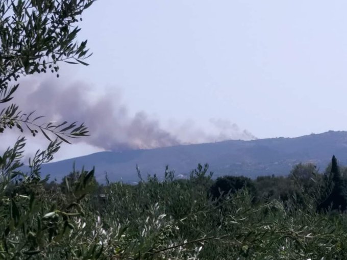 Μεγάλη πυρκαγιά ΤΩΡΑ σε δασική έκταση στην περιοχή Βασιλίτσι Μεσσηνίας
