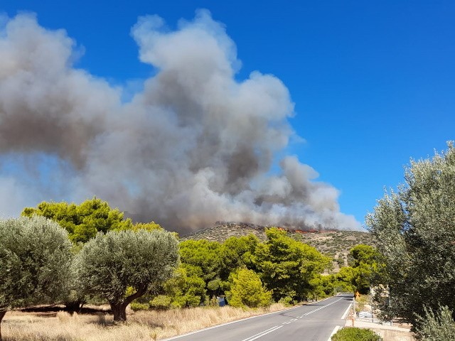 Πυρκαγιά στην Κερατέα: Εκκενώνεται ο οικισμός Μαρκάτι – Μήνυμα από το 112
