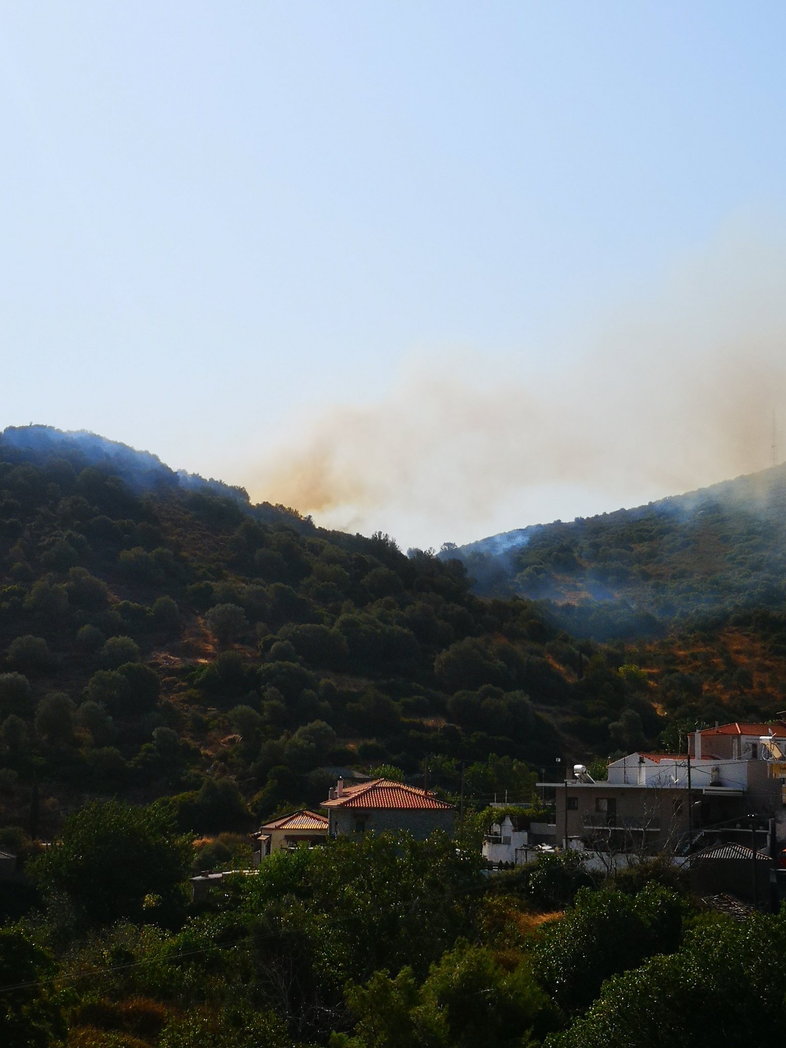 Πυρκαγιά σε δασική έκταση στις Πετριές Εύβοιας