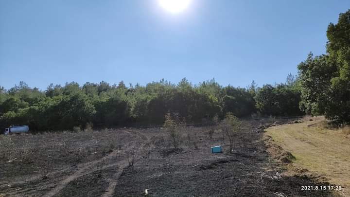 Φωτογραφικό υλικό από την πυρκαγιά στην Κομοτηνή