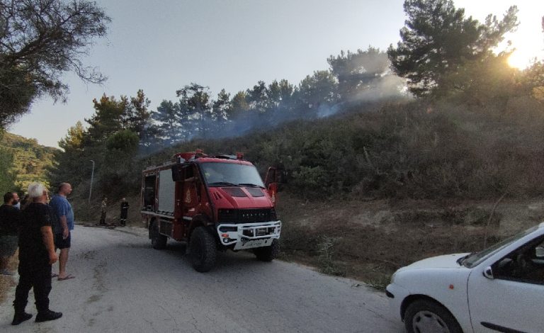 Πυρκαγιά σε δασική έκταση στο Βασιλικό Ζακύνθου (Φώτο)