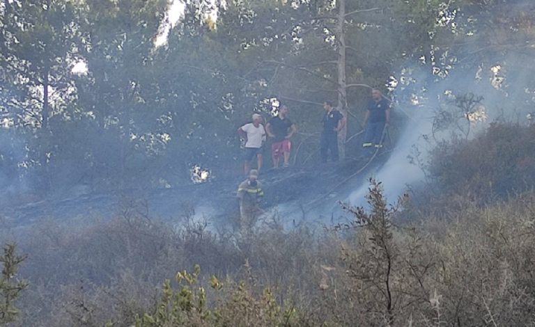 Πυρκαγιά σε δασική έκταση στο Βασιλικό Ζακύνθου (Φώτο)