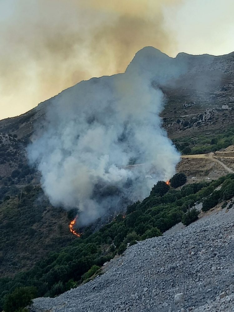 Πυρκαγιά σε δασική έκταση στο Λασίθι – Επιχειρεί η πυροσβεστική