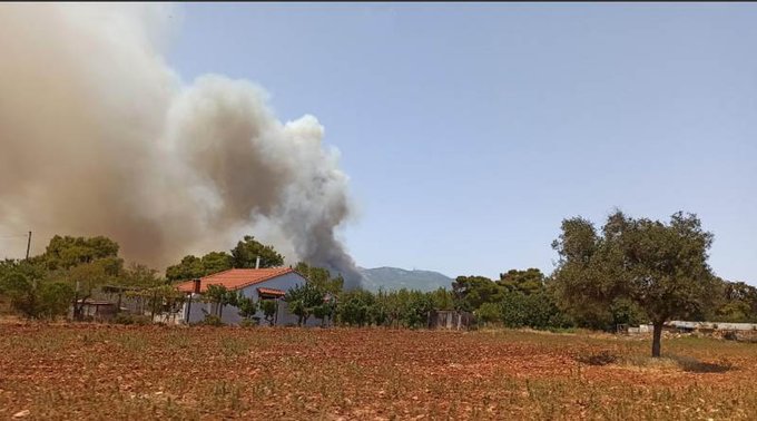 Πυρκαγιά ΤΩΡΑ σε δασική έκταση στη Βαρυμπόμπη Αττικής