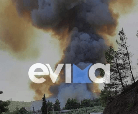 Πυρκαγιά σε δασική έκταση στην περιοχή Μυρτιάς Ευβοίας – Εκκενώνονται δύο χωριά