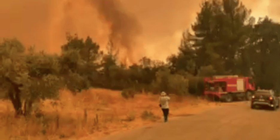Πυρκαγιά στην Εύβοια: Ξεφεύγει η κατάσταση σε Αβγαριά και Γερακιού