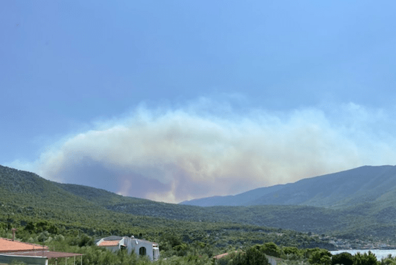 Νέα δασική πυρκαγιά στα Βίλια