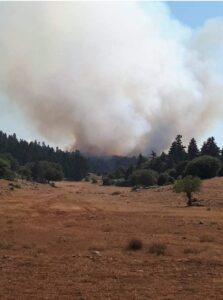 Πυρκαγιά ΤΩΡΑ σε δασική έκταση στο Κρoκί Φωκίδας.(φωτό)