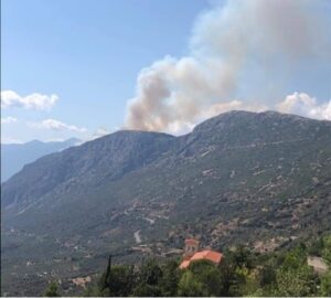 Πυρκαγιά ΤΩΡΑ σε δασική έκταση στο Κρoκί Φωκίδας.(φωτό)