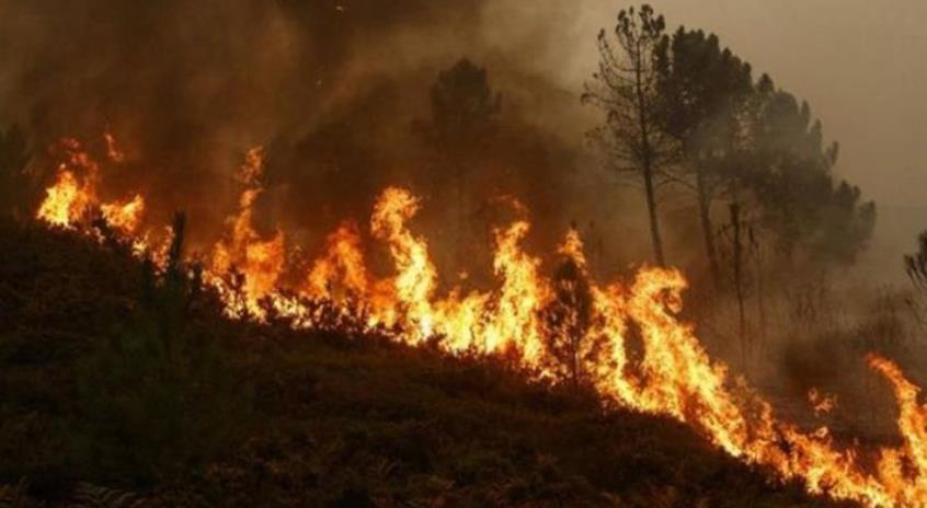 Πυρκαγιά σε δασική έκταση στην περιοχή Πλάκα Καλαβρύτων