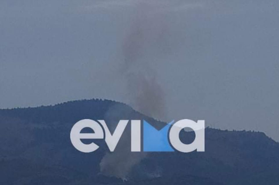 Πυρκαγιά σε δασική έκταση στον Μίστρο Εύβοιας (Φώτο)