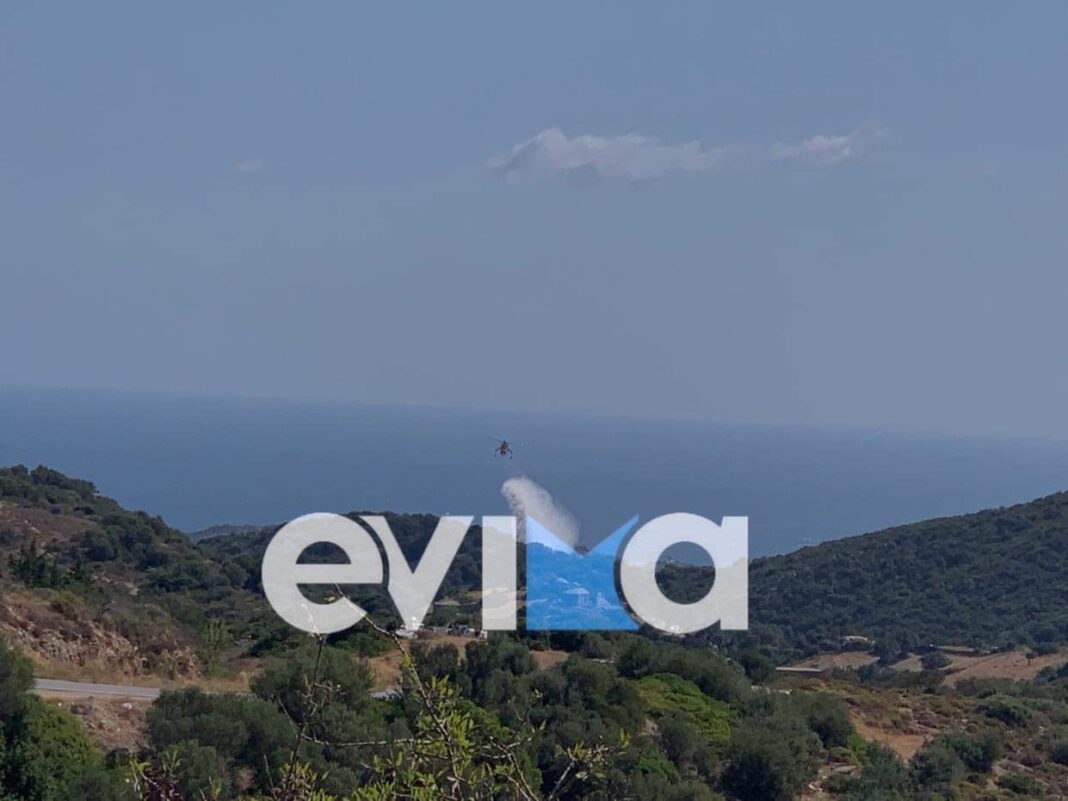 Υπό έλεγχο η πυρκαγιά στις Πετριές Εύβοιας | Fire Fighting ...