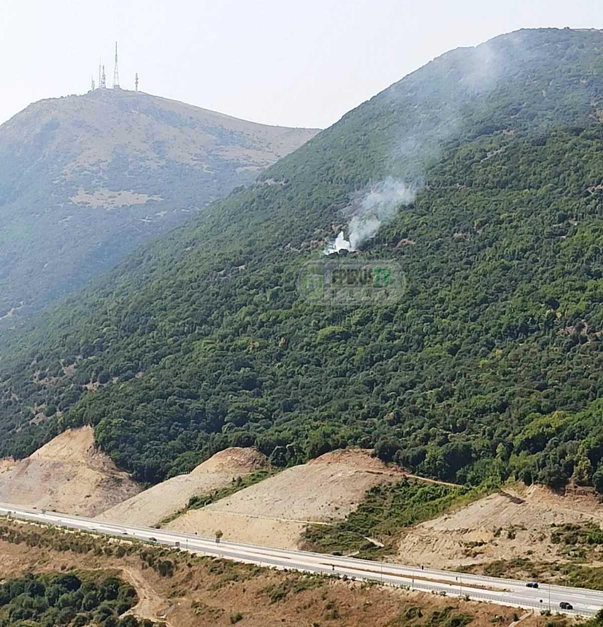 Πυρκαγιά σε δασική έκταση στην περιοχή Αμπελιά Ιωαννινων (Φώτο)