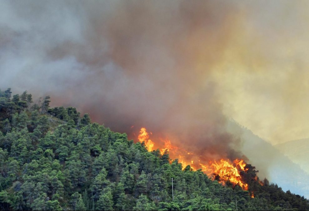Πυρκαγιά σε δασική περιοχή στο όρος Κιτίκι στα Φάρσαλα