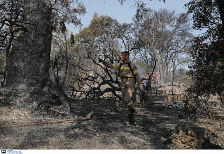 Πυρκαγιά στην Αχαΐα: Πάνω από 3.000 στρέμματα έγιναν στάχτη