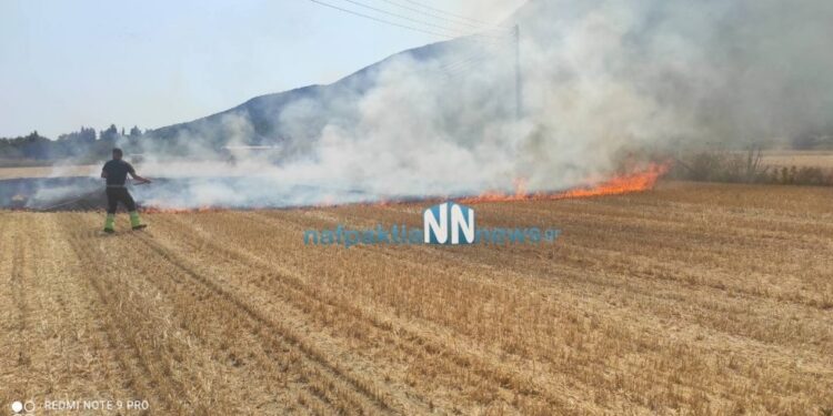 Πυρκαγιά σε αγροτική έκταση στα Κωστέικα Ναυπακτίας