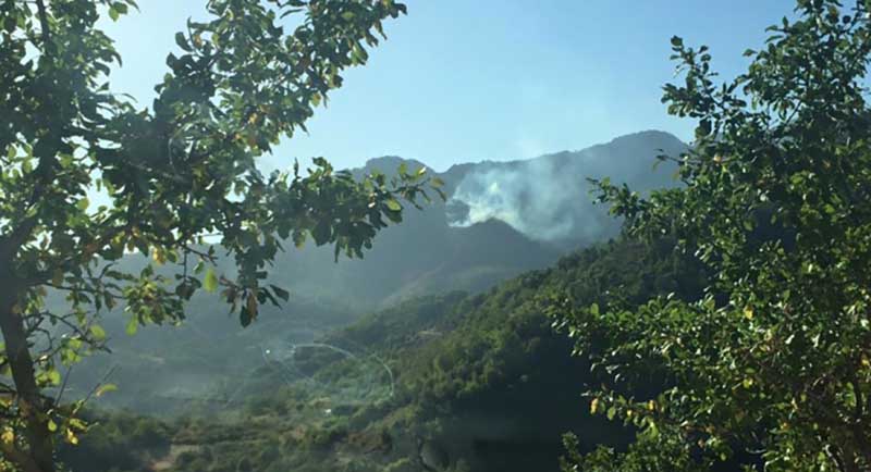 Πυρκαγιά σε δασική έκταση στον Δήμο Μύκης στην Ξάνθη