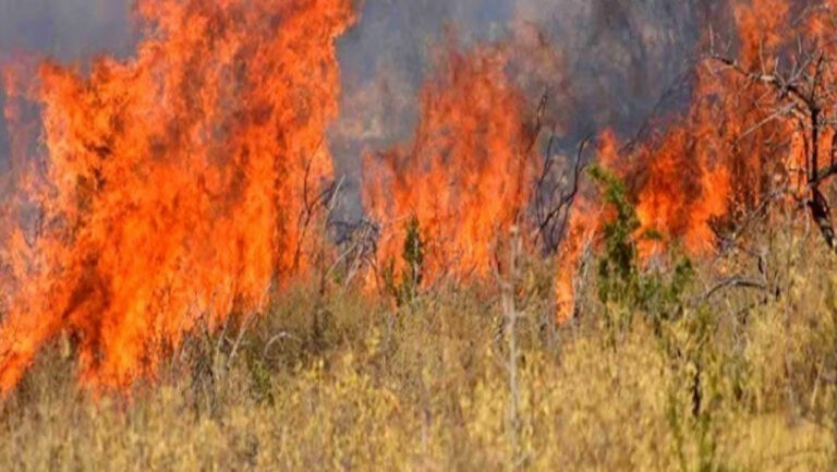 Θεσσαλονίκη: Πυρκαγιά σε ξηρά χόρτα στο Πλαγιάρι