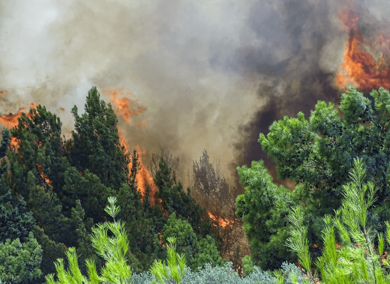 Δασική πυρκαγιά σε εξέλιξη στην περιοχή Γιανναίοι στην Μεγαλόπολη