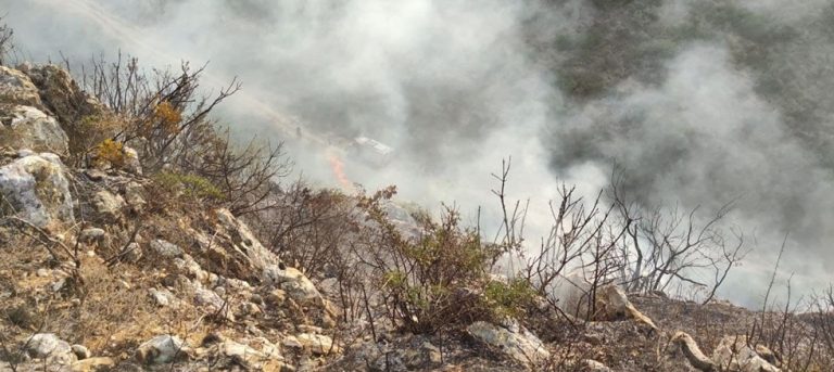 Ζάκυνθος – Τώρα 2 πυρκαγιές σε Λιθακιά και Μαχαιράδο (φωτό & βίντεο)