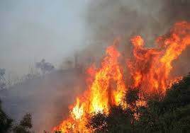 Πυρκαγιά εν υπαίθρω στην περιοχή Βροντού στην Σαλαμίνα Αττικής