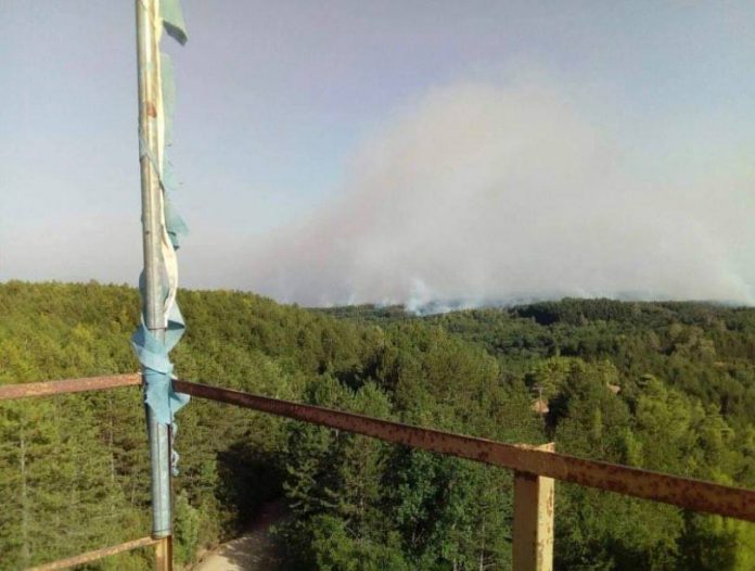Πυρκαγιά στην Αρκαδία: Αναζωπύρωση στο δάσος της Κάπελης – Στην μάχη και το Beriev