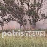 Πυρκαγιά σε περιοχή με καλάμια στη Μούτελη Πύργου (Φώτο)