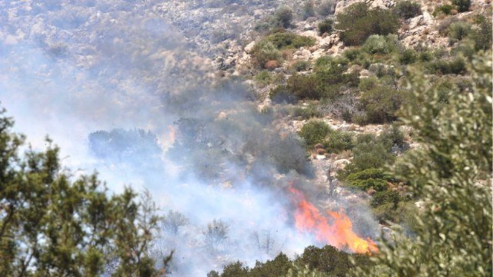 Πυρκαγιά σε αγροτοδασική έκταση στην περιοχή Ασπρα Σπίτια Ηλείας