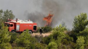 Πυρκαγιά σε αγροτοδασική έκταση στη Φούρκα Χαλκιδικής.