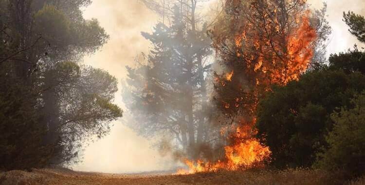 Υπό μερικό έλεγχο η πυρκαγιά στην περιοχή Δρυάλια Λακωνίας