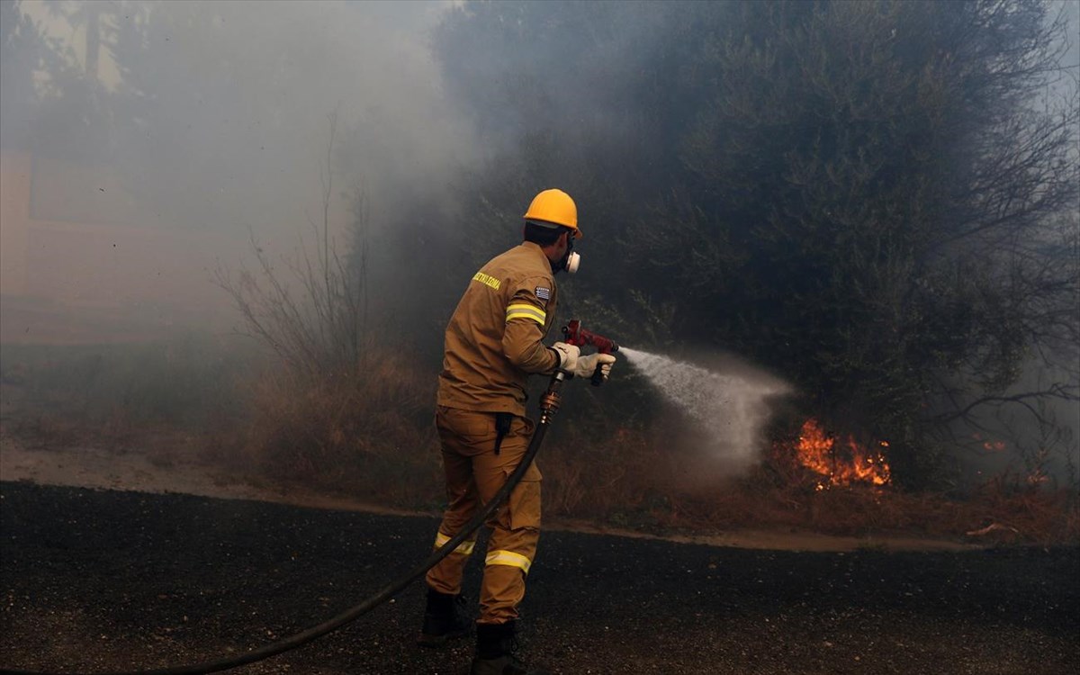 Σύλληψη εμπρηστή δάσους στην Κεφαλονιά